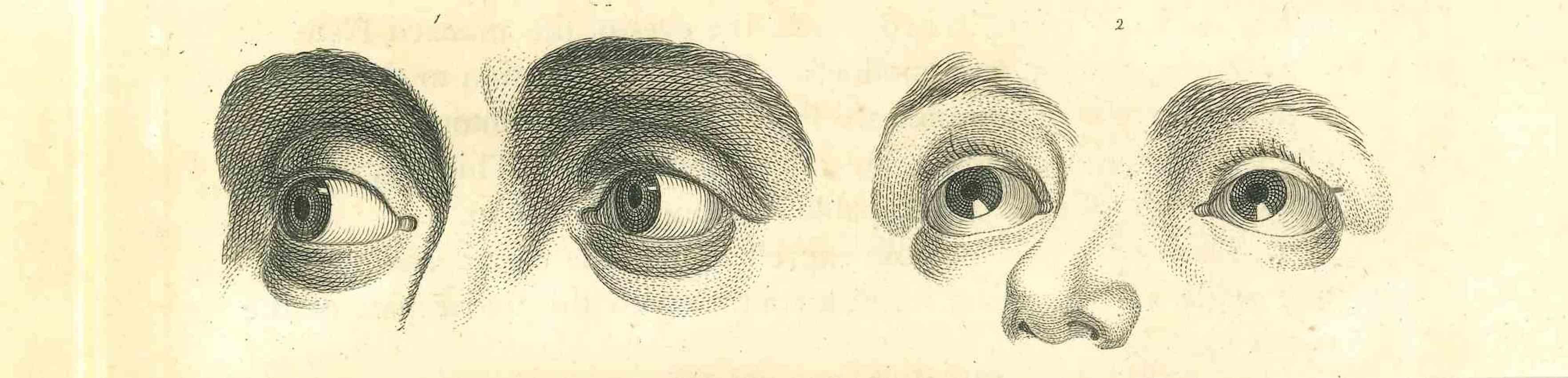 The Physiognomy - The Eyes is an original etching artwork realized by Thomas Holloway for Johann Caspar Lavater's "Essays on Physiognomy, Designed to Promote the Knowledge and the Love of Mankind", London, Bensley, 1810. 

Good conditions.

With