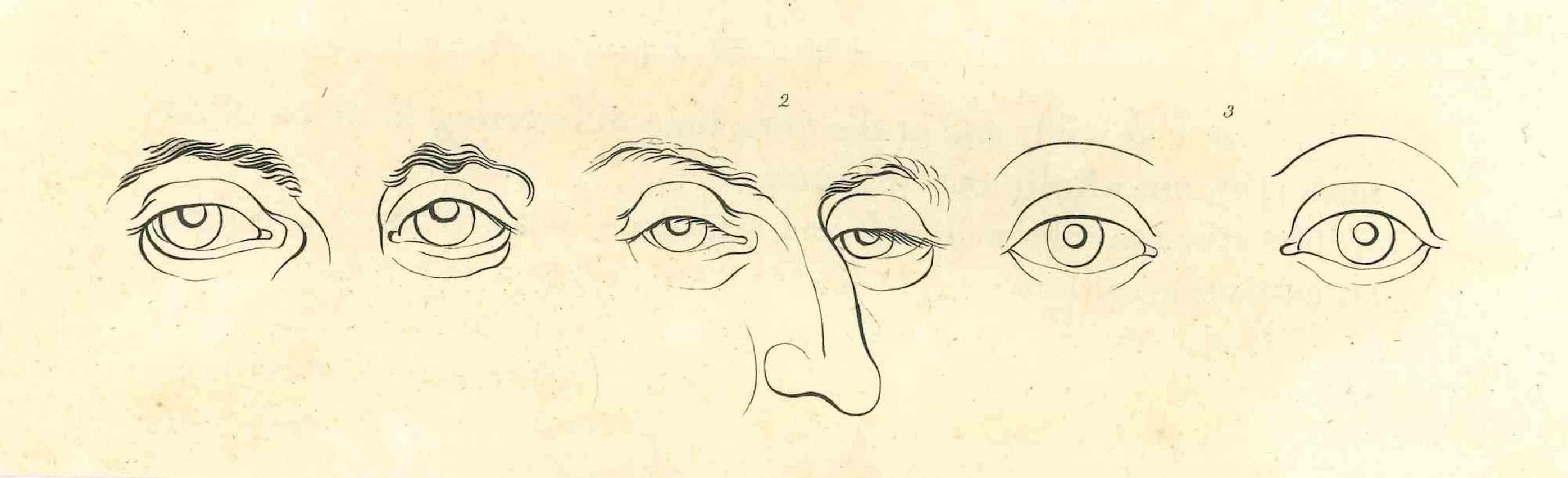 The Physiognomy - The Eyes ist eine Original-Radierung von Thomas Holloway für Johann Caspar Lavaters "Essays on Physiognomy, Designed to Promote the Knowledge and the Love of Mankind", London, Bensley, 1810. 

Gute Bedingungen.

Mit Notizen auf der