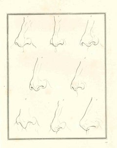 The Physiognomy - The Noses - Original Etching by Thomas Holloway - 1810