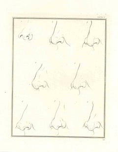La physionomie - Les nez -  Gravure originale de Thomas Holloway - 1810