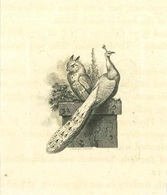 The Physiognomy - Le hibou et le paon - eau-forte de Thomas Holloway - 1810