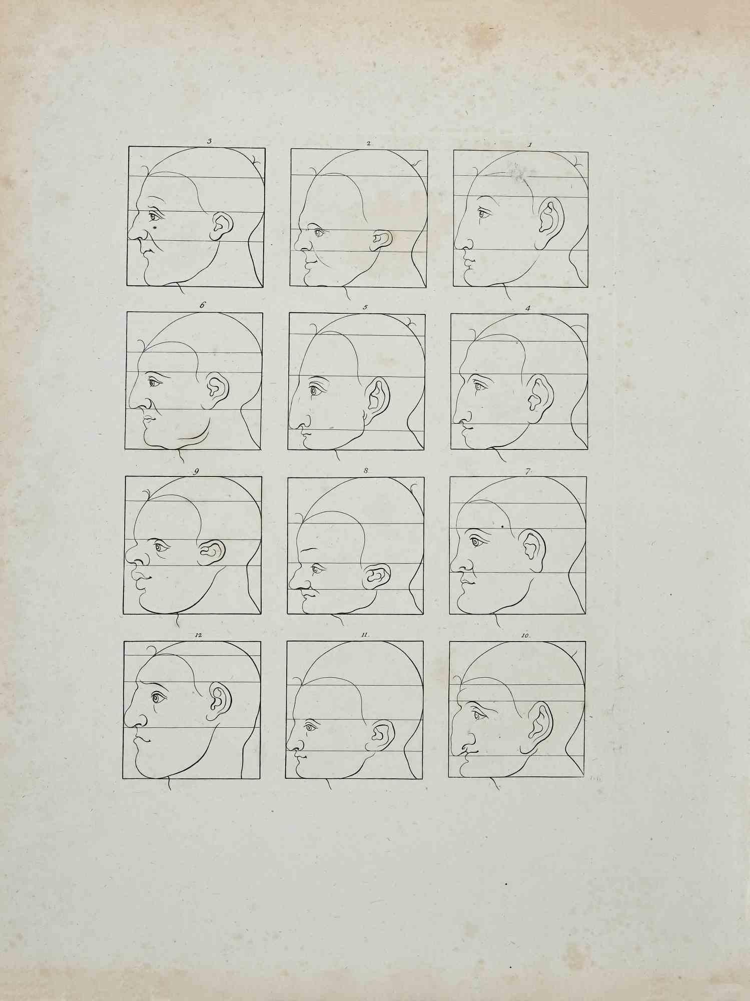 The Profiles - The Physiognomy- Original Etching by Thomas Holloway - 1810