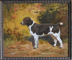 Duke, un springer spaniel