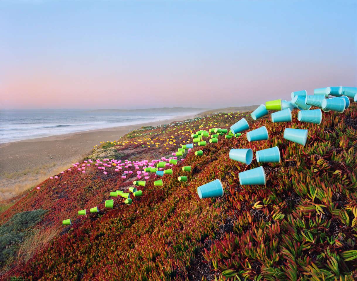 Thomas Jackson Landscape Photograph - Cups no. 5, Point Reyes National Seashore, California