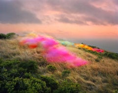 Tulle no. 11, Stinson Beach, California