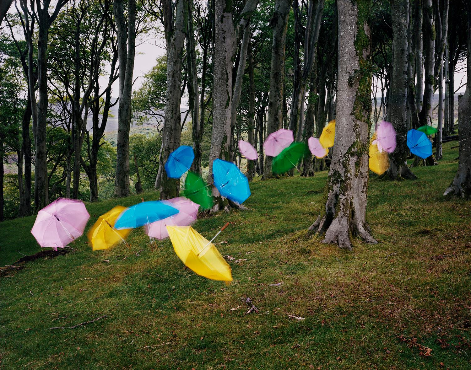 Thomas Jackson Color Photograph - Umbrellas no. 1, Druidale, Isle of Man
