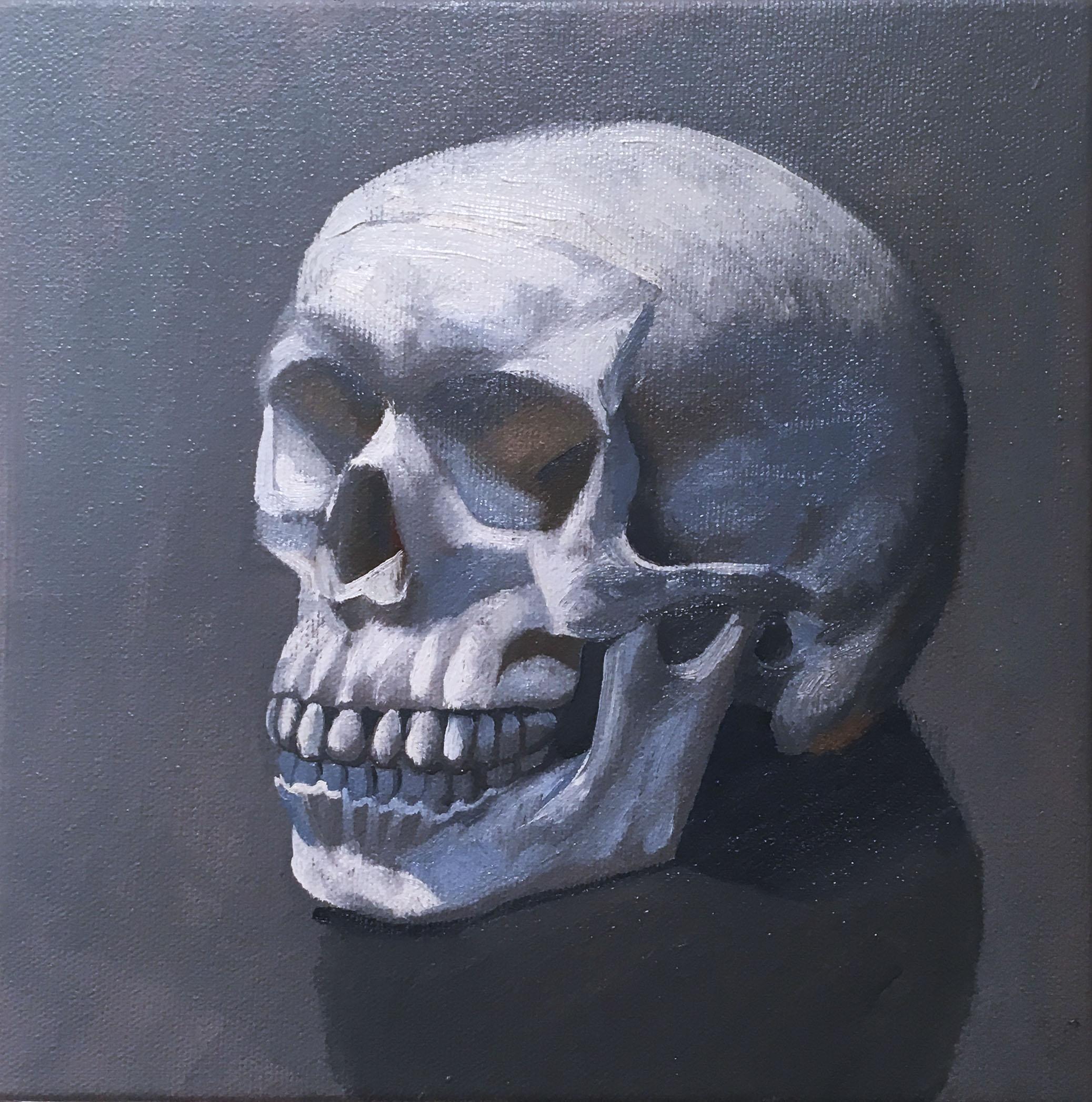 "Still Life (Skull left)" Oil on canvas blue & grey skull, small scale painting