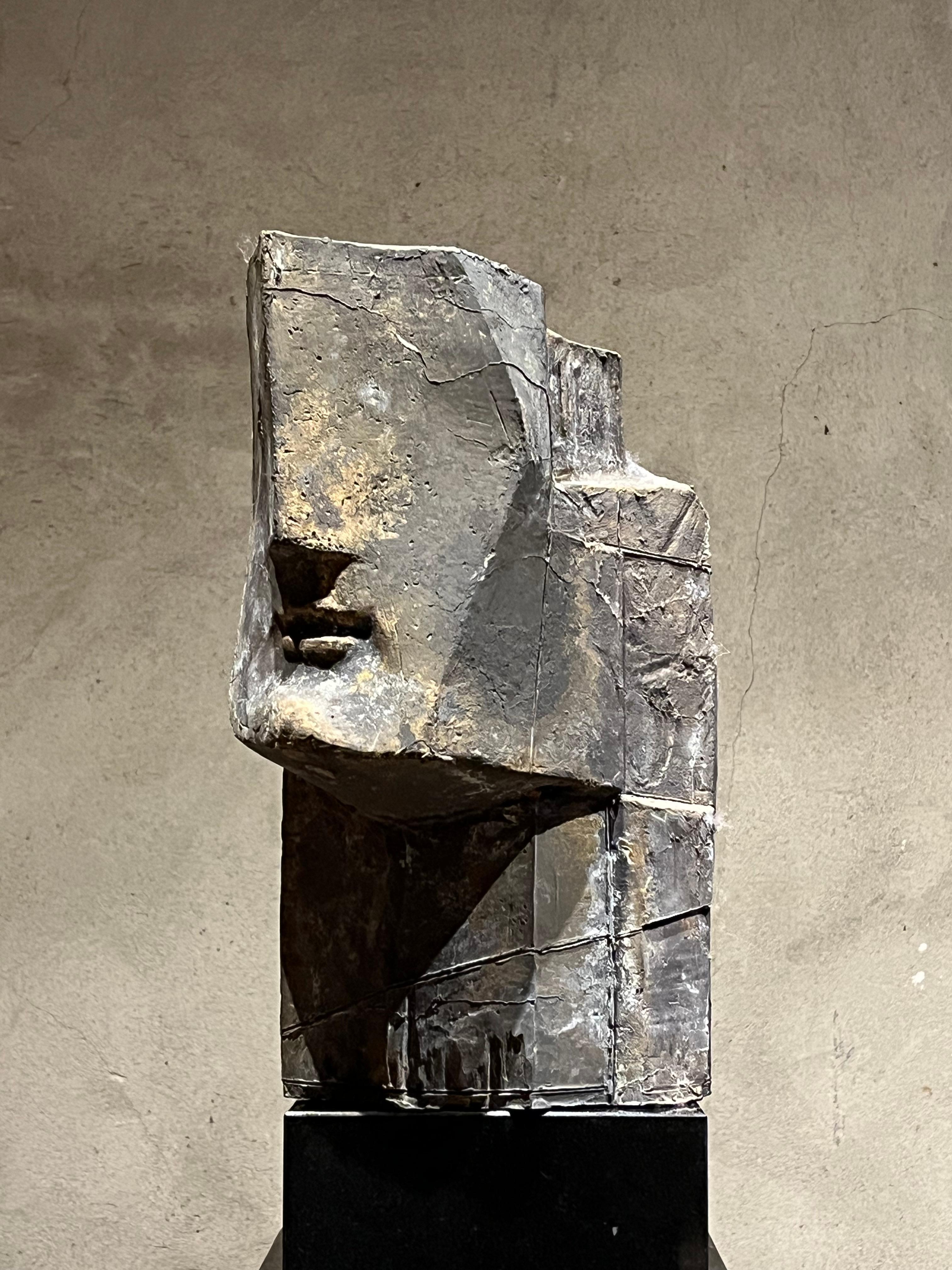 Bugbeeld ( Casted 2024 ) Bronze Sculpture Abstract Figurative Geometric En stock - mesuré sans piédestal en pierre Edition limitée
Chaque édition de  Le moulage est différent, de sorte que chaque sculpture est unique.

Junghans (1956,