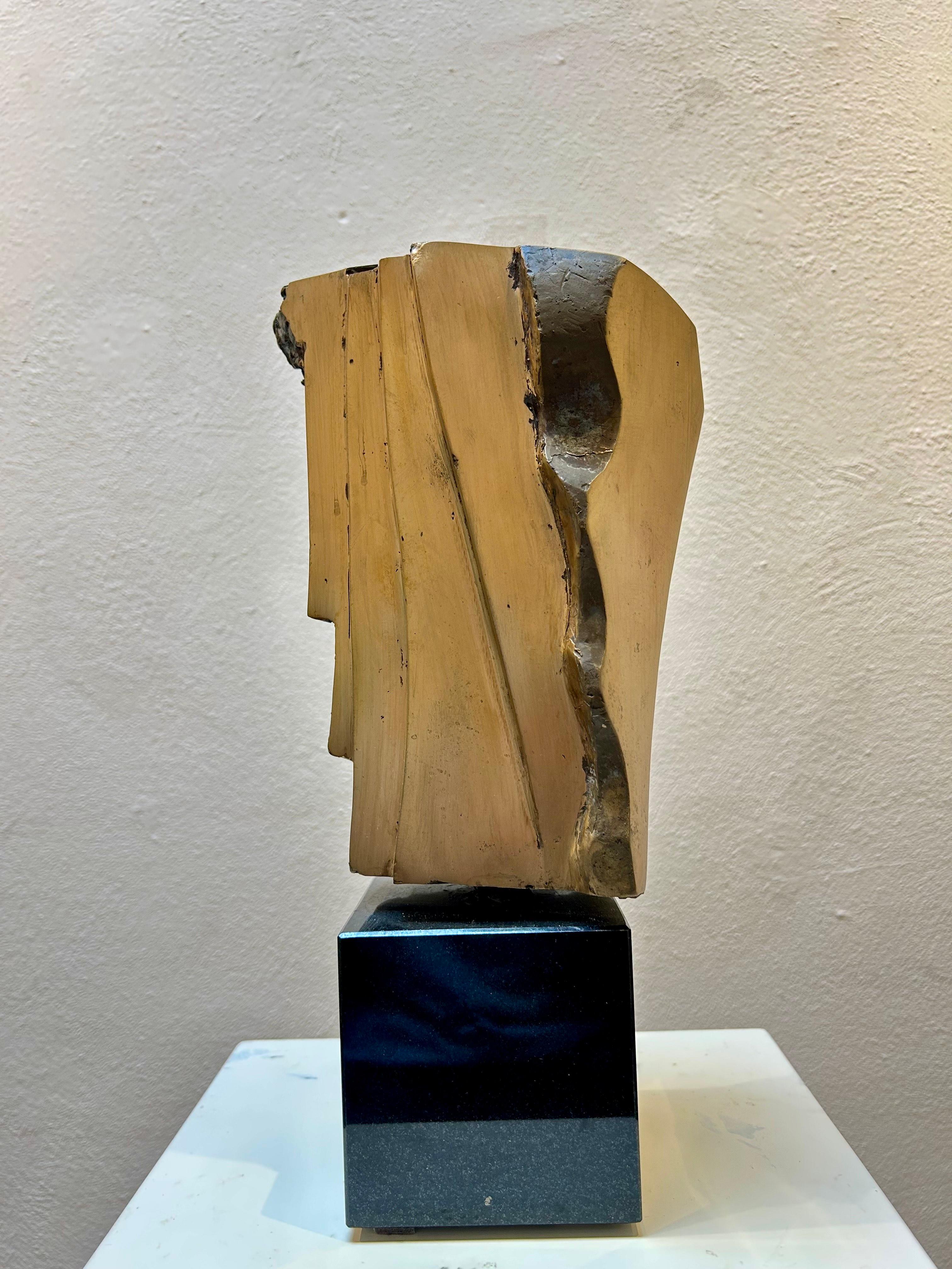 Little Abstract Head no. 10 Bronze Sculpture Polished Limited Edition For Sale 4