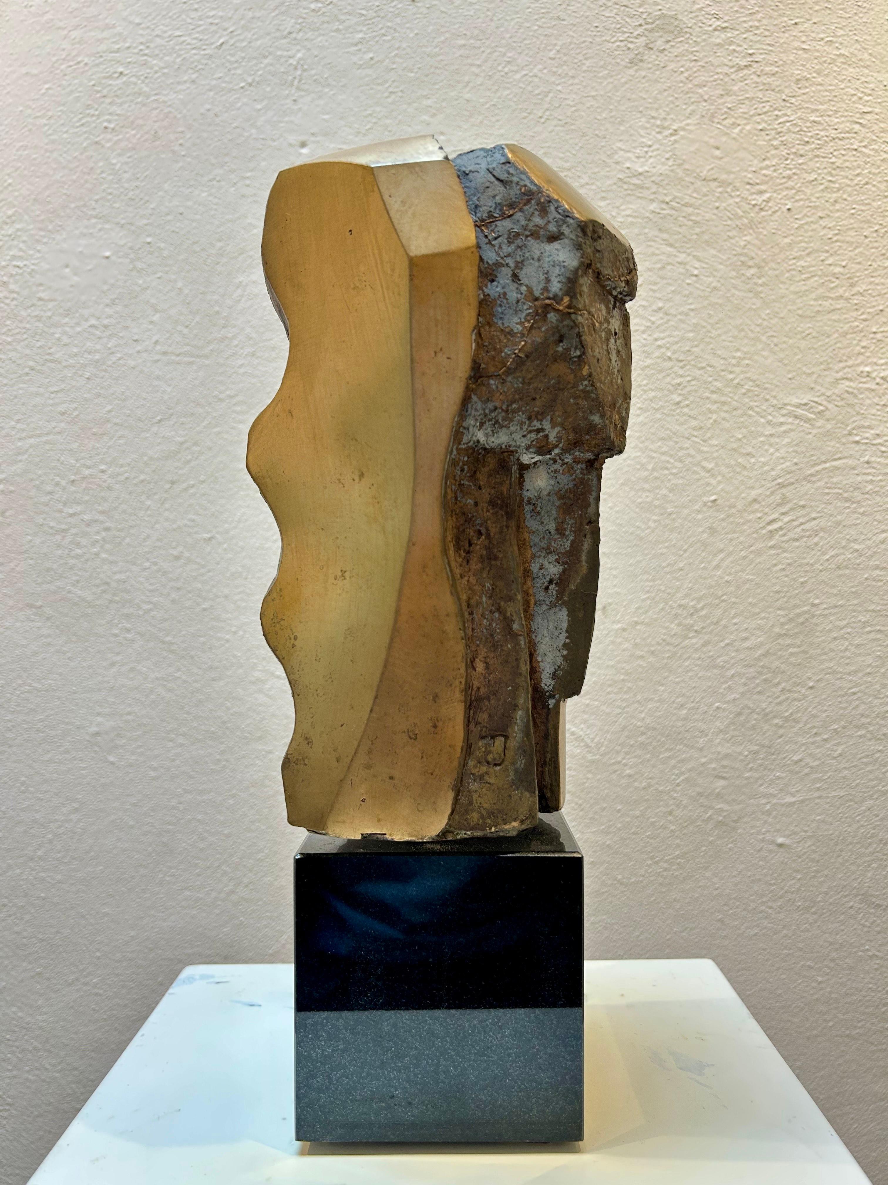 Little Abstract Head no. 10 Bronze Sculpture Polished Limited Edition For Sale 6