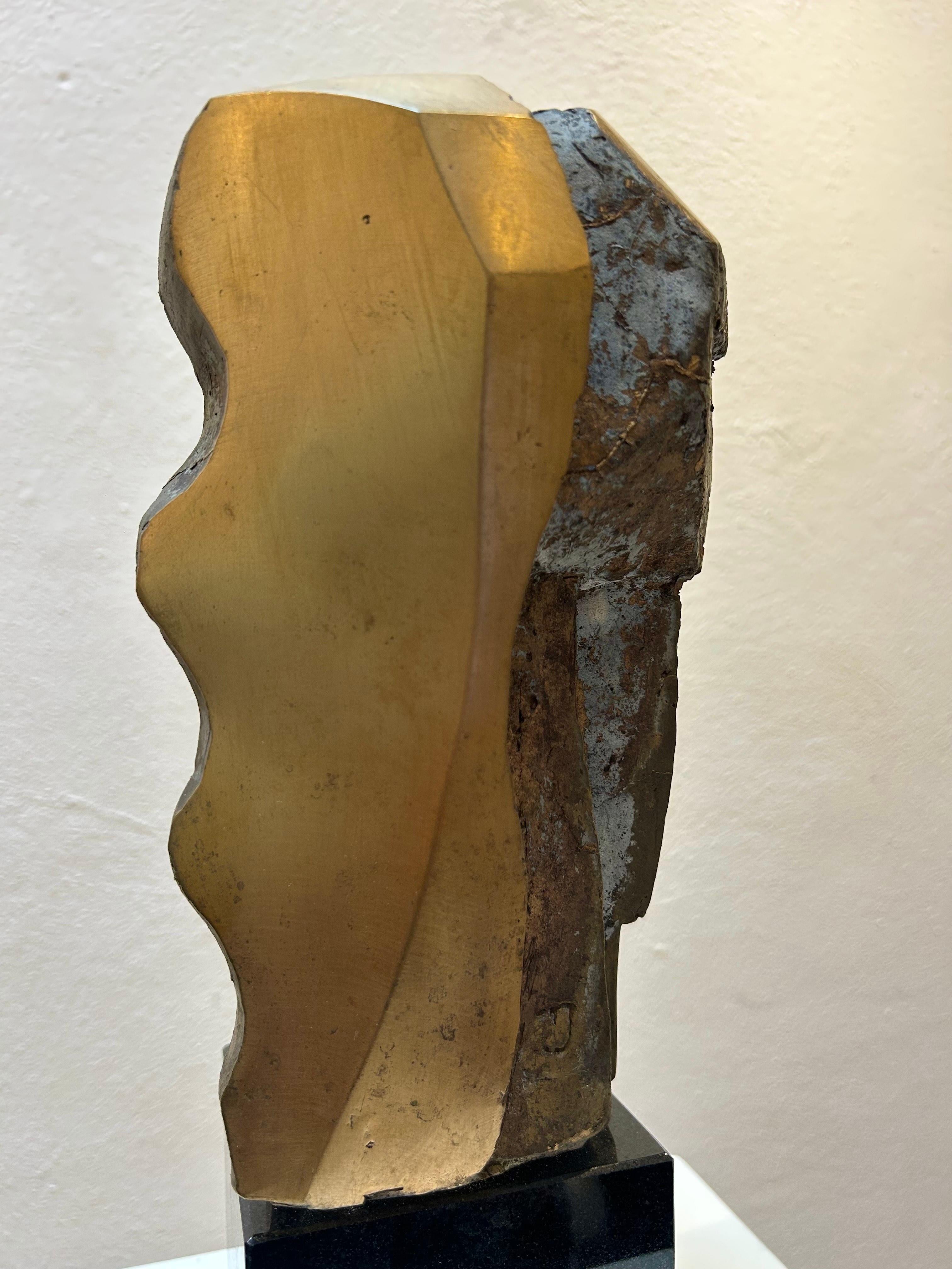 Little Abstract Head no. 10 Bronze Sculpture Polished Limited Edition For Sale 7