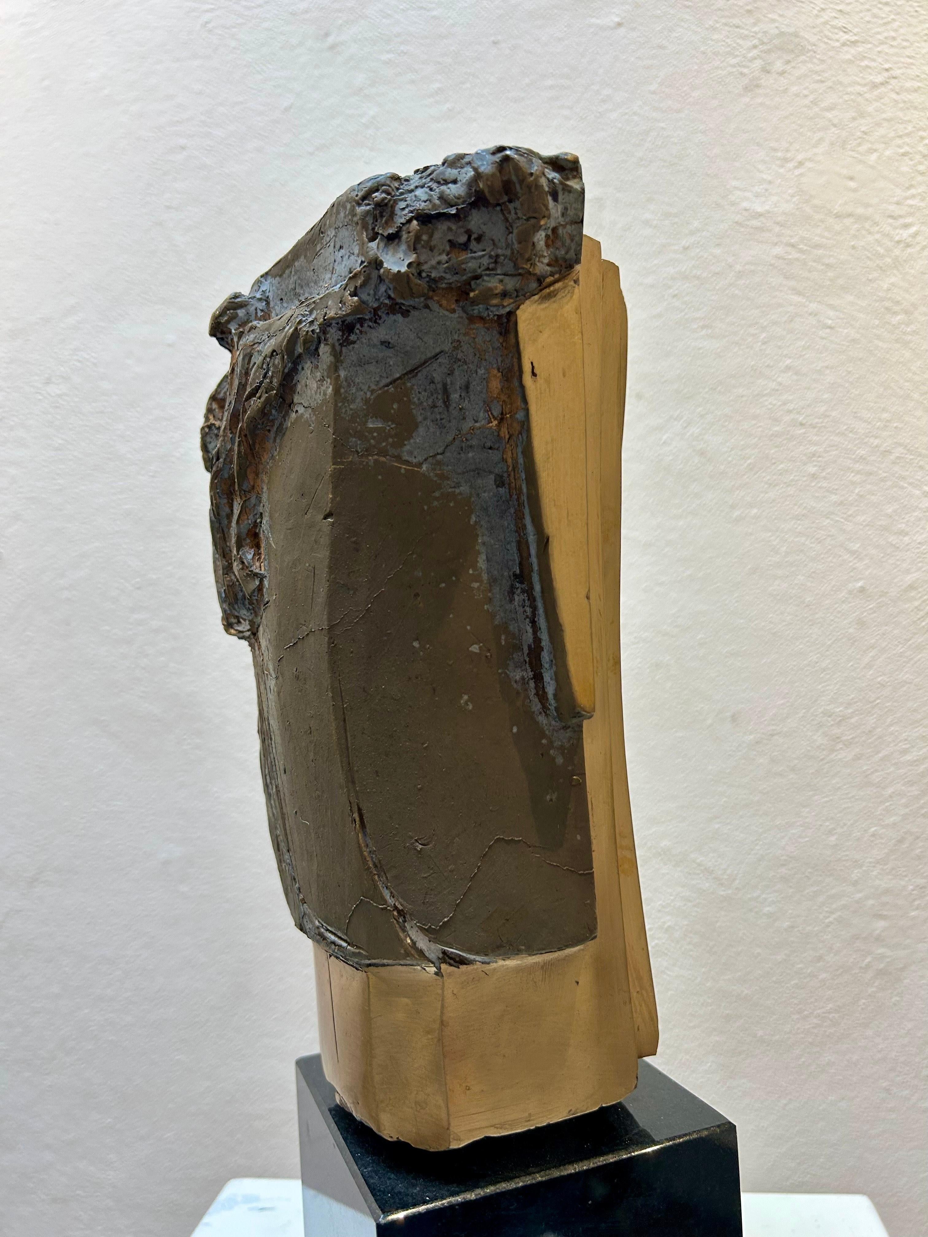 Little Abstract Head no. 10 Bronze Sculpture Polished Limited Edition For Sale 11