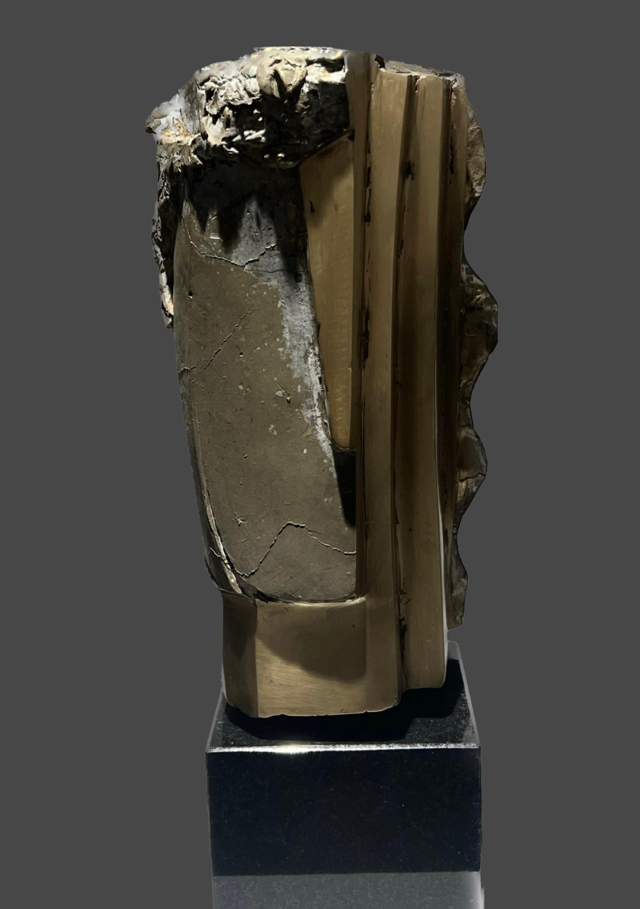 Little Abstract Head no. 10 Bronze Sculpture Polished Limited Edition For Sale 1