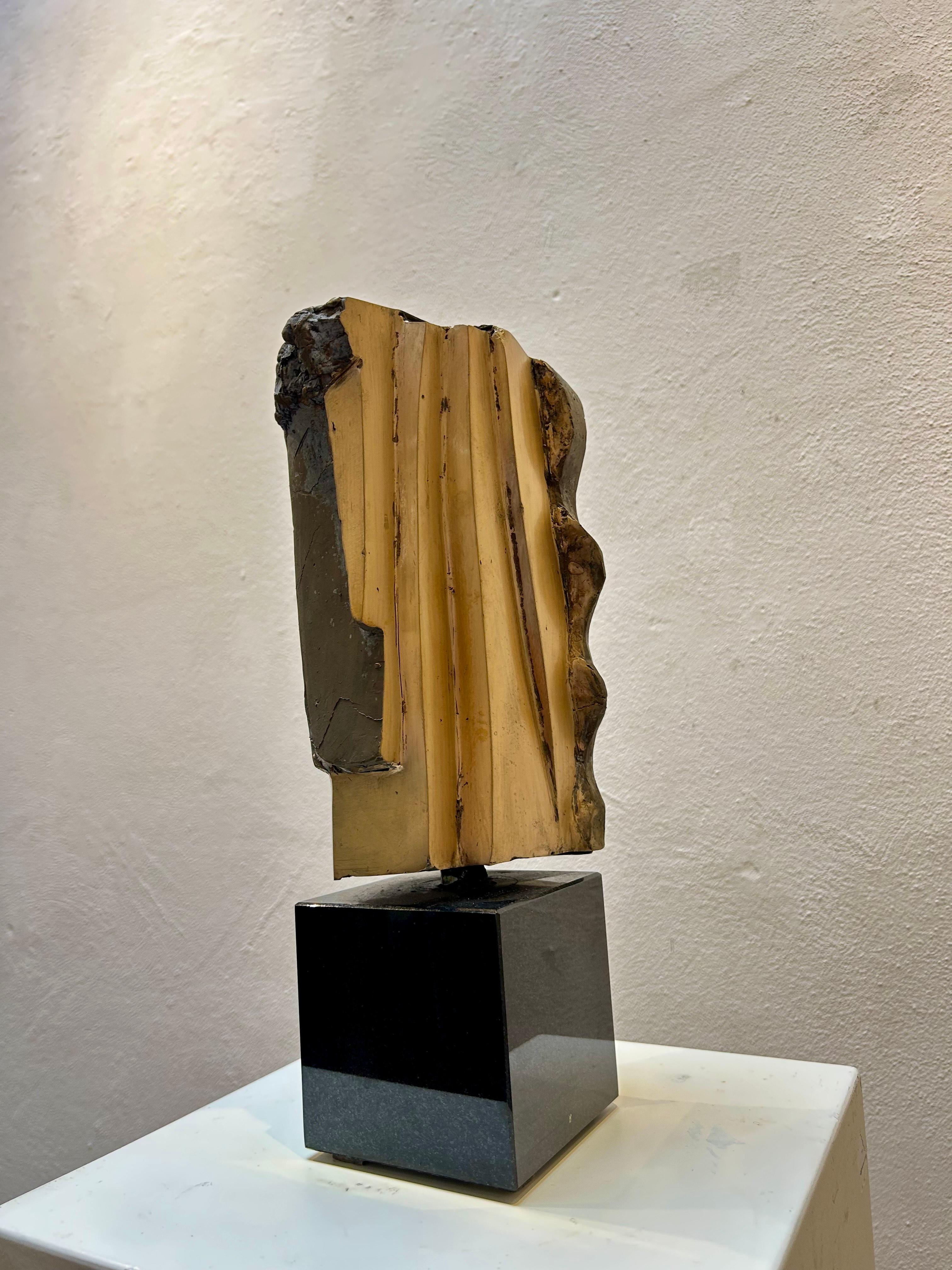Little Abstract Head no. 10 Bronze Sculpture Polished Limited Edition For Sale 1