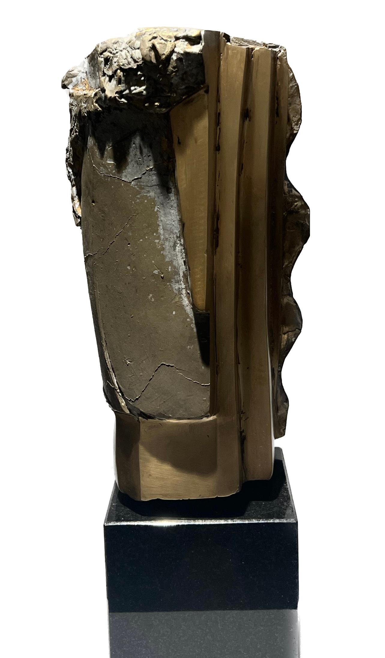 Little Abstract Head no. 10 Bronze Sculpture Polished Limited Edition - Gold Abstract Sculpture by Thomas Junghans