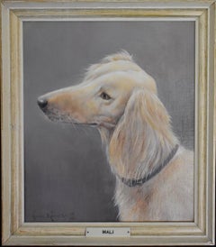 Two salukis - Mazuri Malaki 'Dullah' and Mazuri-Mahboub-Ali 'Mali'