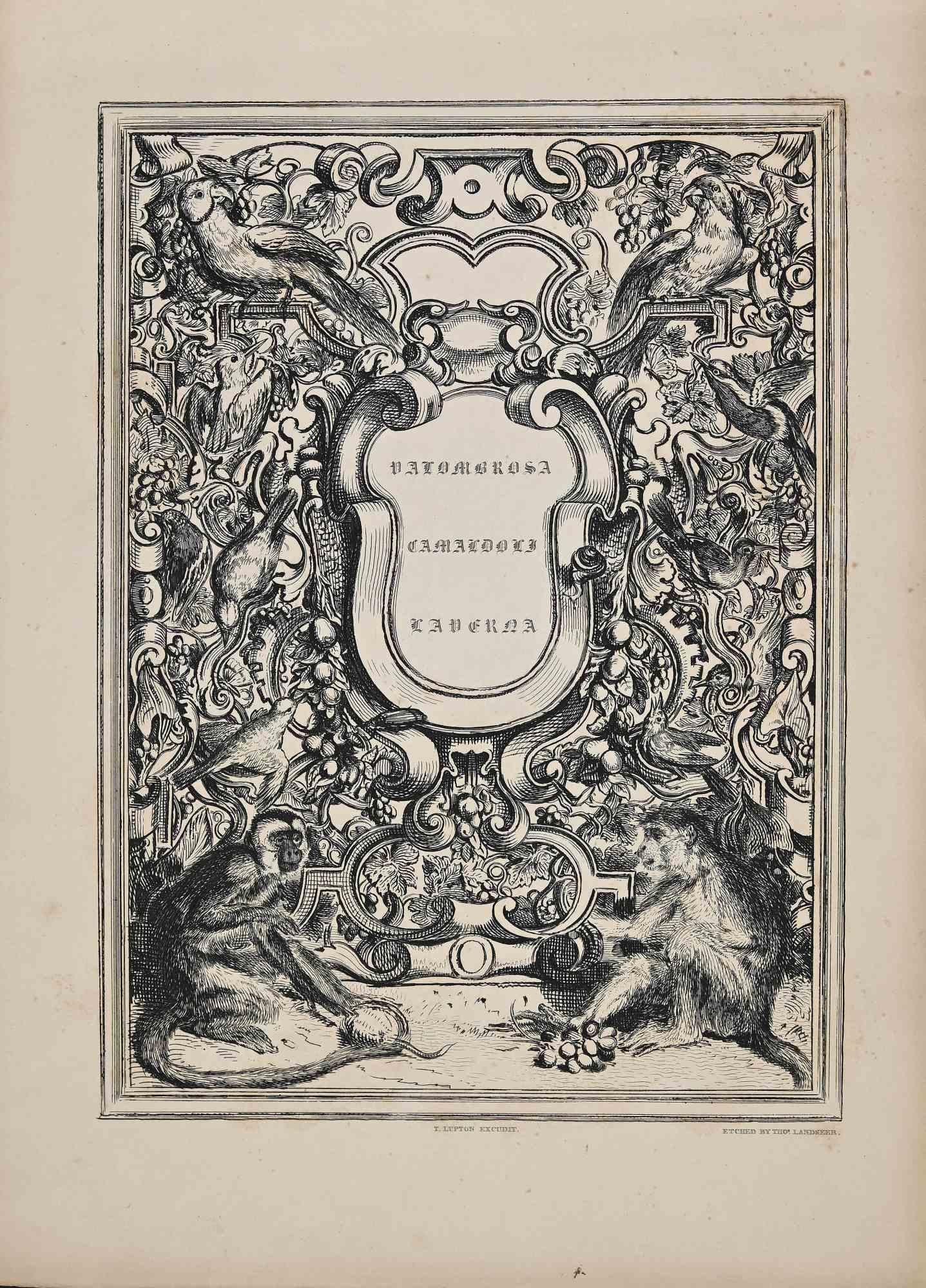 Composition avec singes -  Gravure de Thomas Landseer - 19ème siècle