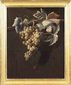 A bunch of grapes on a vine, with a butterfly and other insects