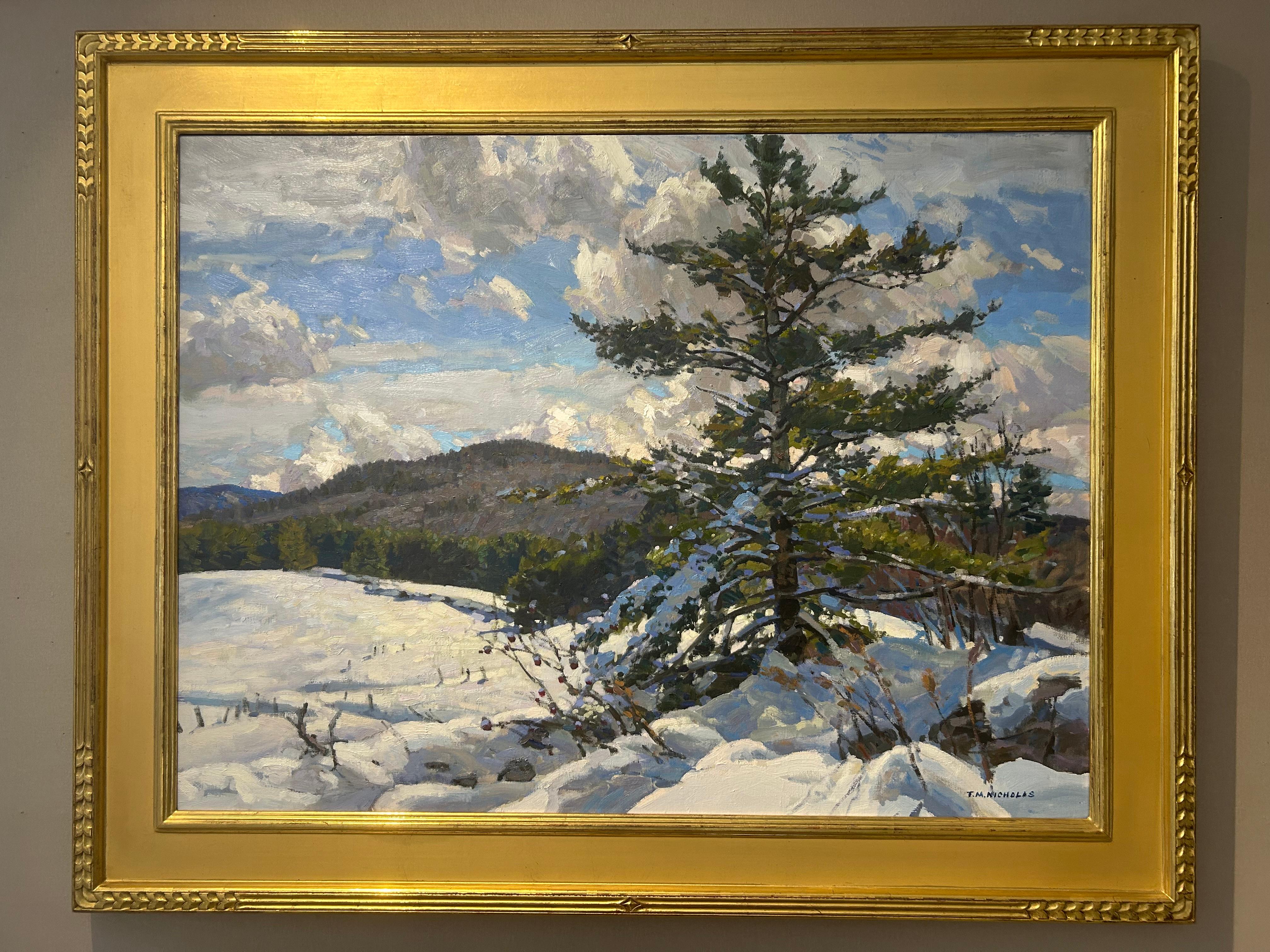 Winterhimmel (Land), Painting, von Thomas M. Nicholas