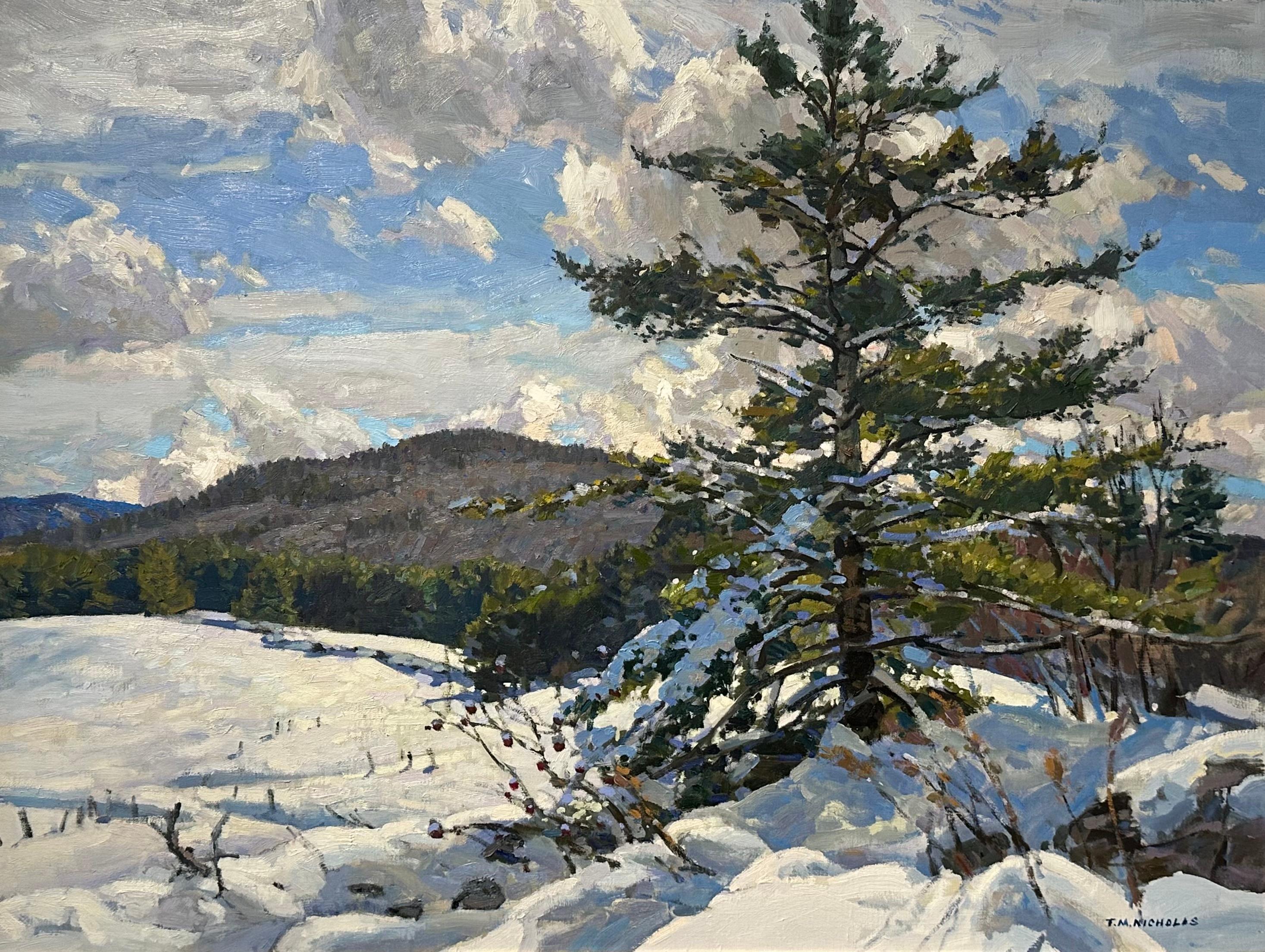 Winterhimmel – Painting von Thomas M. Nicholas