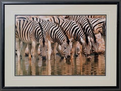 "Dry Season" Zebra Herd at Watering Hole Wildlife Photograph Edition 330/950