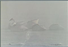 Winter Mist - Trumpeter Swans