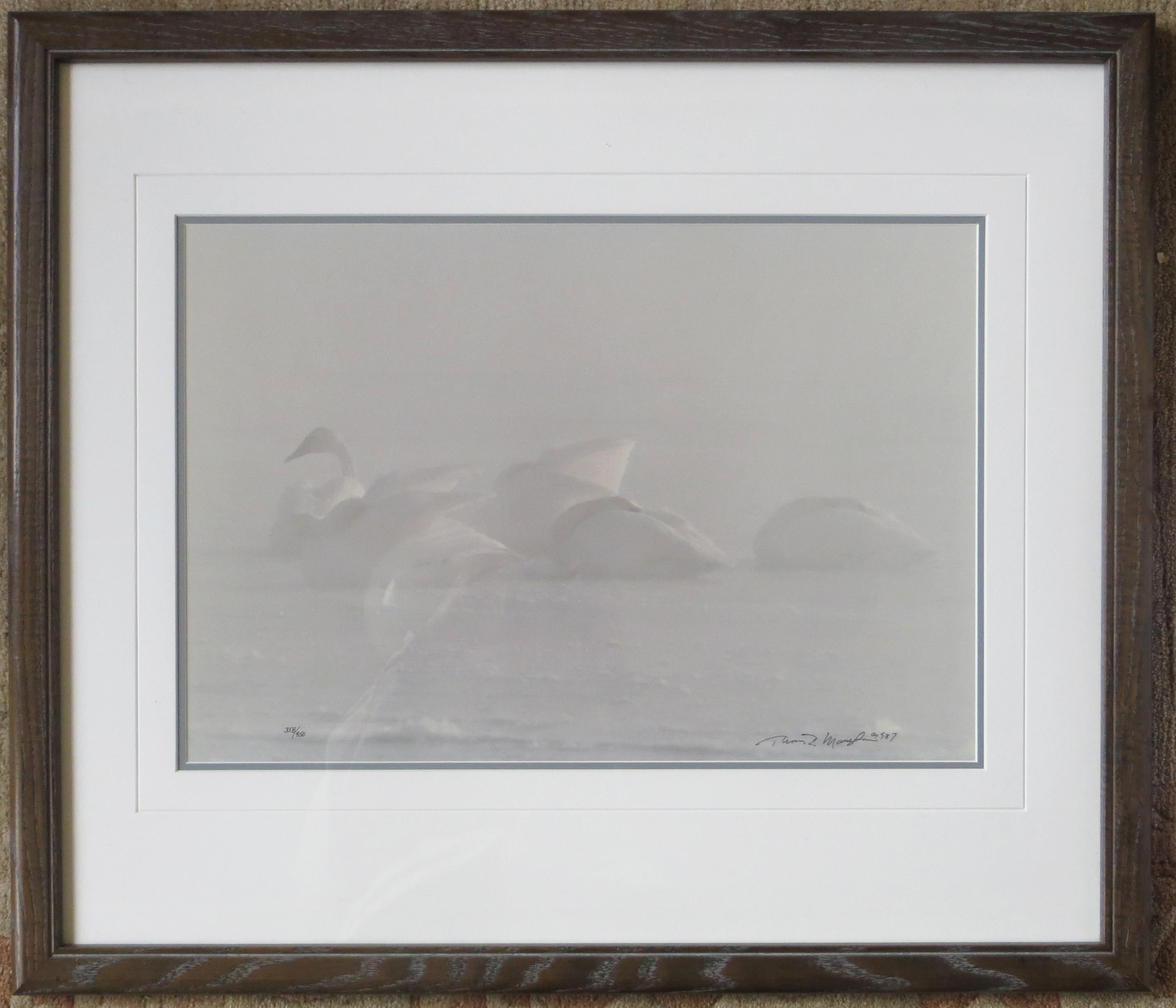 Winter Mist - Trumpeter Swans - Realist Photograph by Thomas Mangelsen