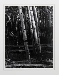 Aspen, Colorado, Signed Black and White Gelatin Silver Print by Thomas McCartney