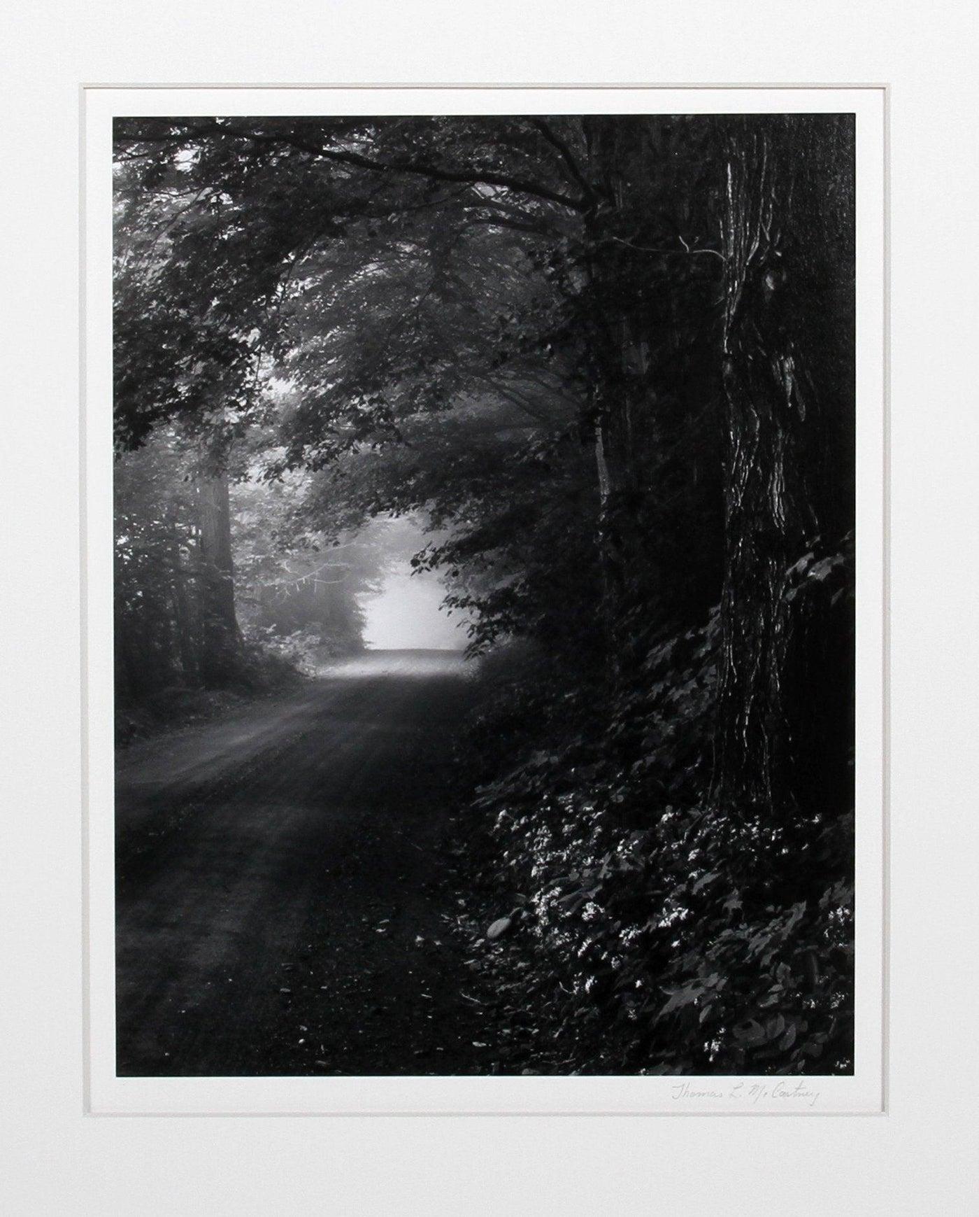 Foggy Morn, Vermont, signierter Schwarz/Weiß-Gelatine-Silberdruck von Thomas McCartney