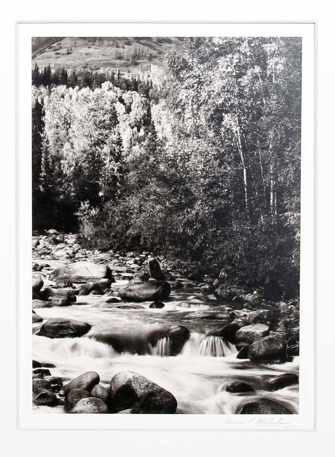 Thomas L. McCartney was born in Grove City, PA in 1938. He began his career in Veterinary Medicine and later became interested in photography. Originally involved in wildlife photography, he worked with color materials and utilized a color printing