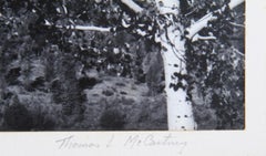Paesaggio di montagna I, Stampa firmata alla gelatina d'argento di Thomas Thomas