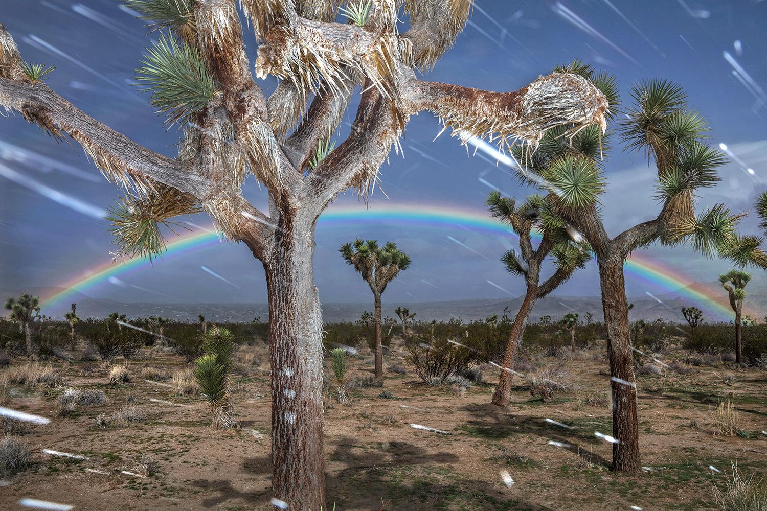 Thomas Michael Alleman Color Photograph - Other Desert Cities, Joshua Tree, CA, 2018