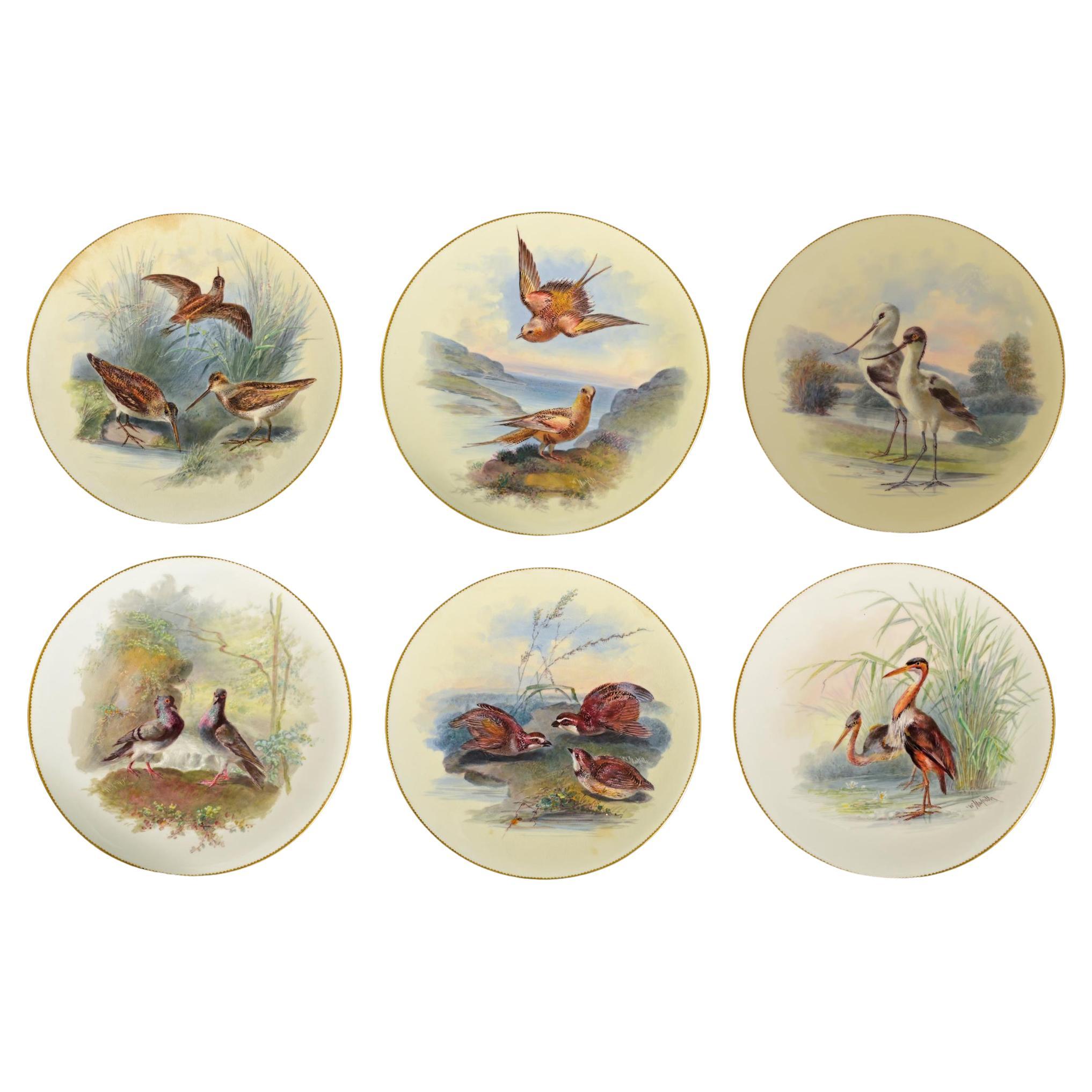 Platos de gabinete de pájaros de porcelana Thomas Minton, firmados por William Mussil