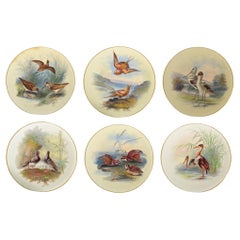 Platos de gabinete de pájaros de porcelana Thomas Minton, firmados por William Mussil