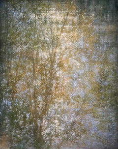 Light Between (gold)