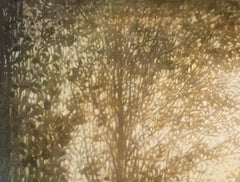 Motifs ensoleillés