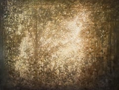 Sunlit Patterns