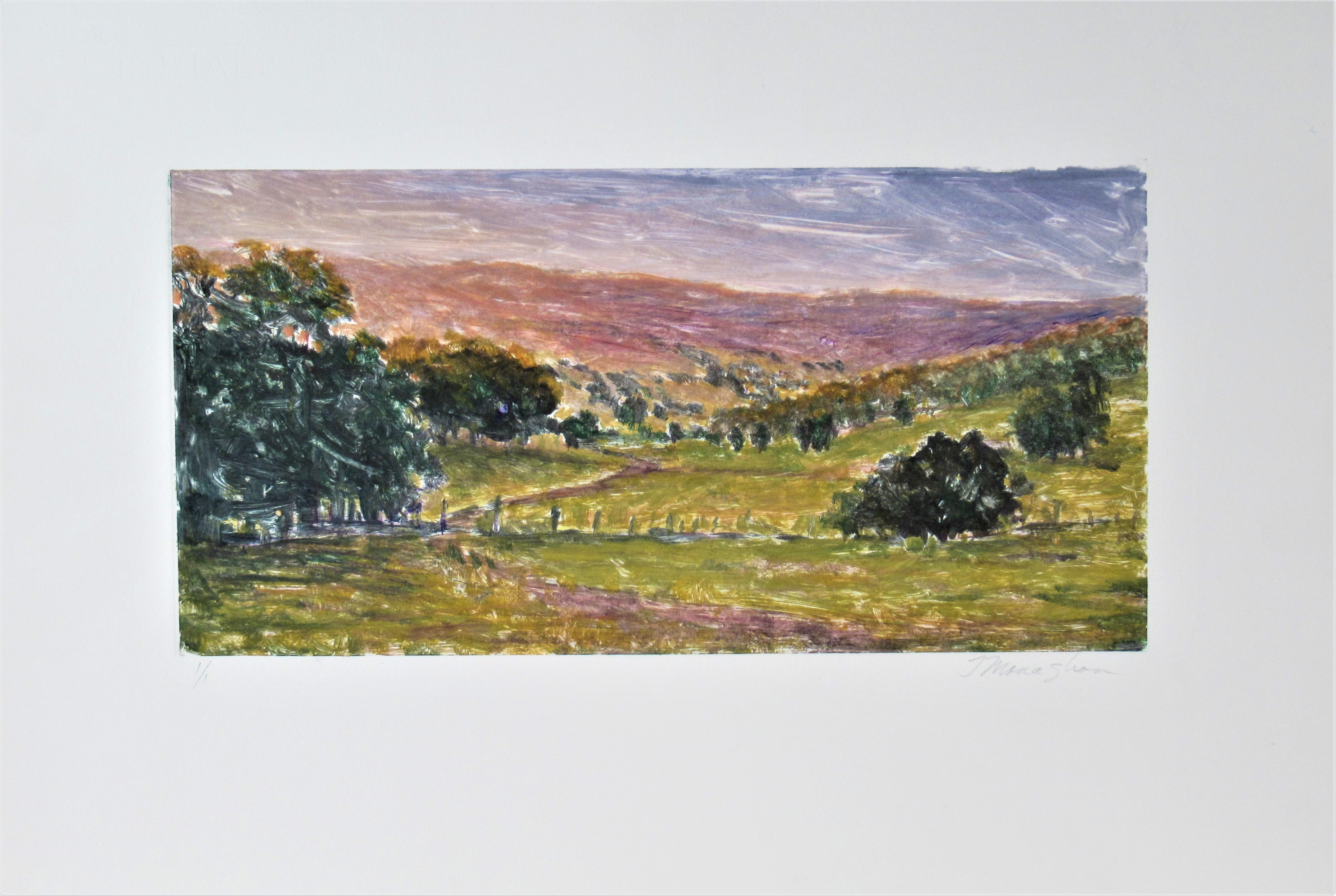 Thomas Monaghan Landscape Print - Landscape #III