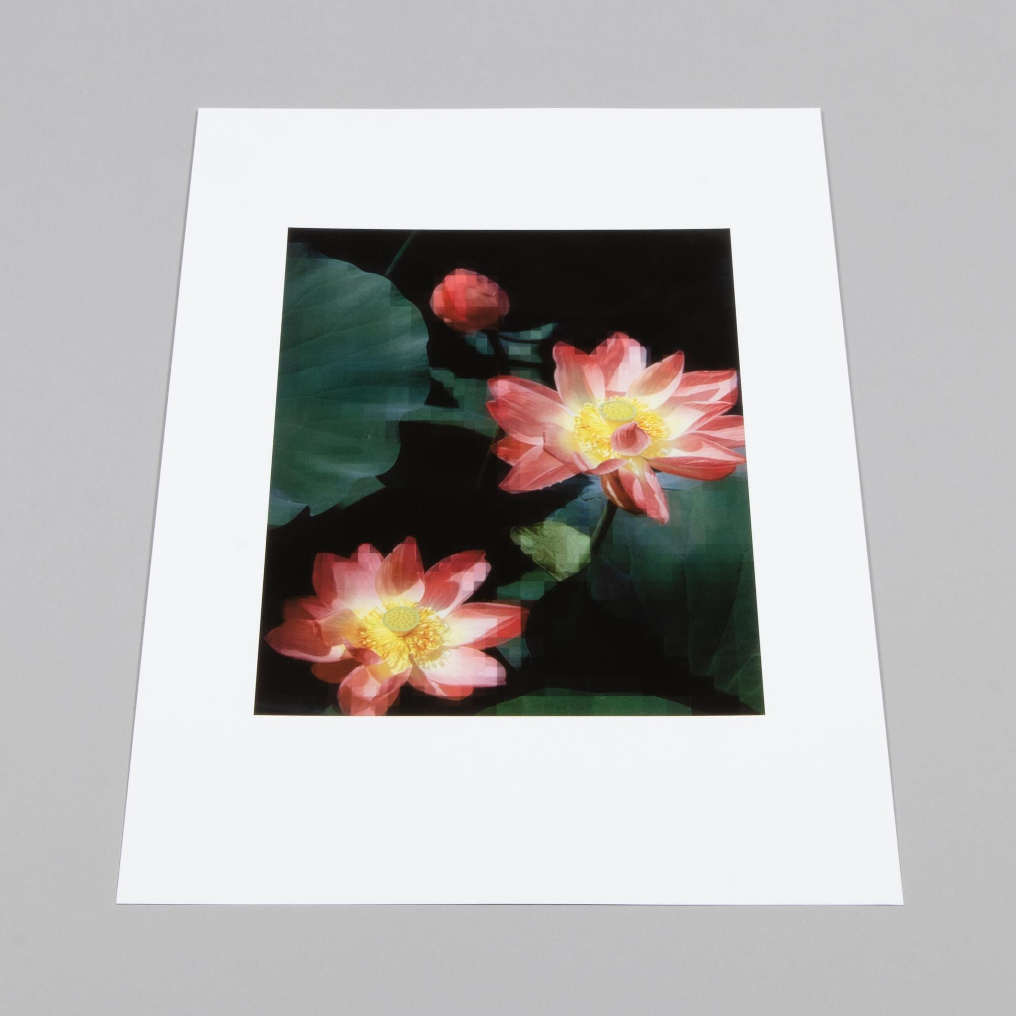 Thomas Ruff, Seerose - Stampa fotografica firmata, Arte contemporanea 4