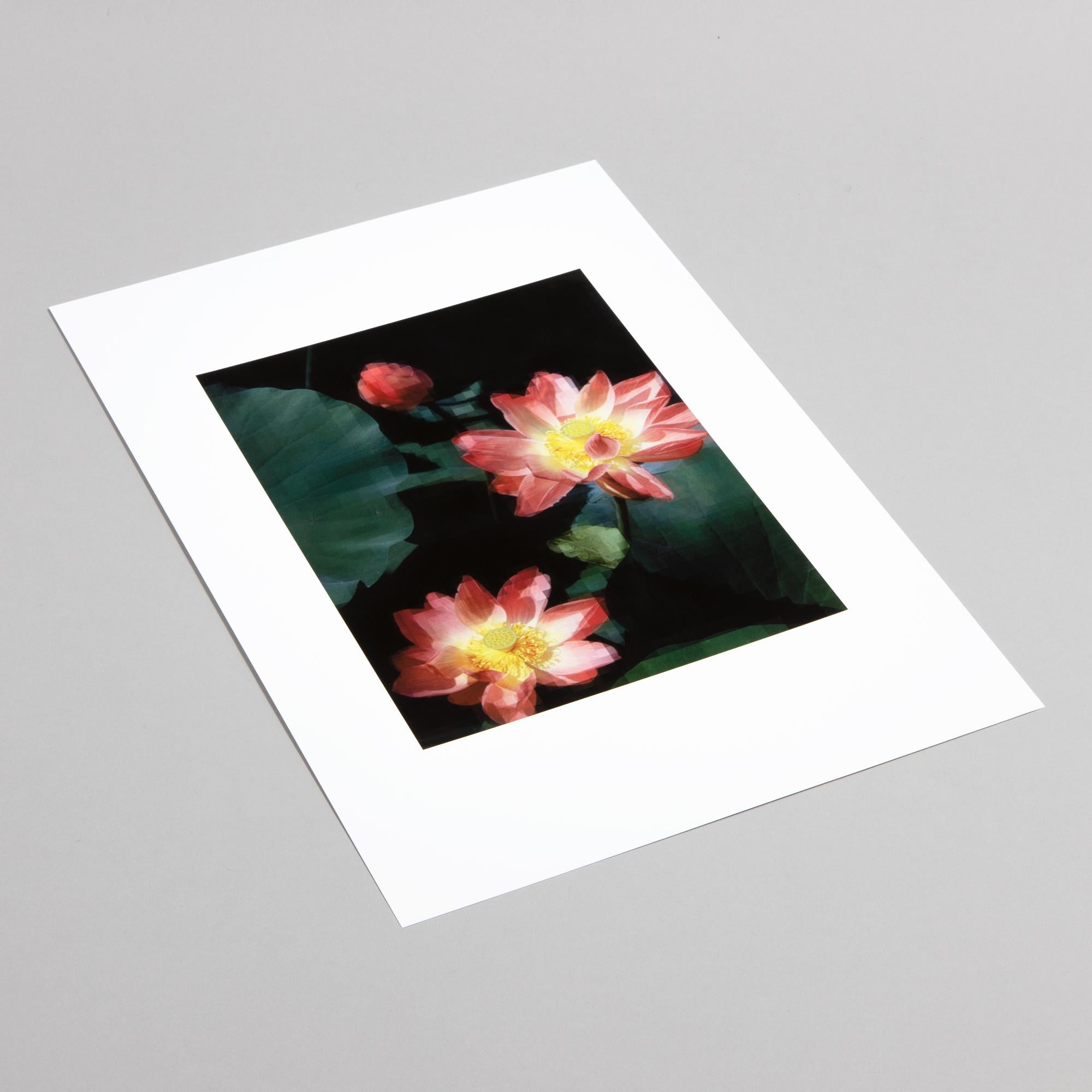 Thomas Ruff, Seerose - Impression photographique signée, art contemporain en vente 5