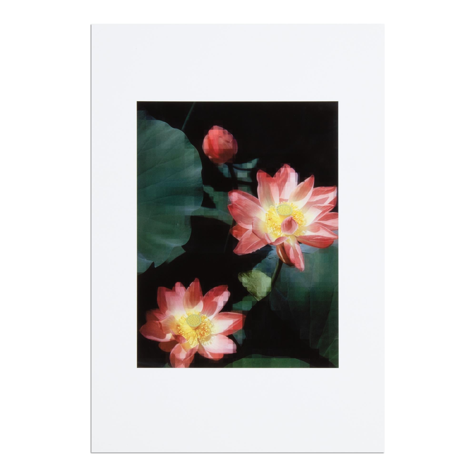 Thomas Ruff (German, b. 1958)
Seerose, 2022
Medium: Digital print on Epson Archival Matte paper
Dimensions: 48.3 x 32.9 cm
Edition of 50: Hand-signed and numbered
Condition: Mint