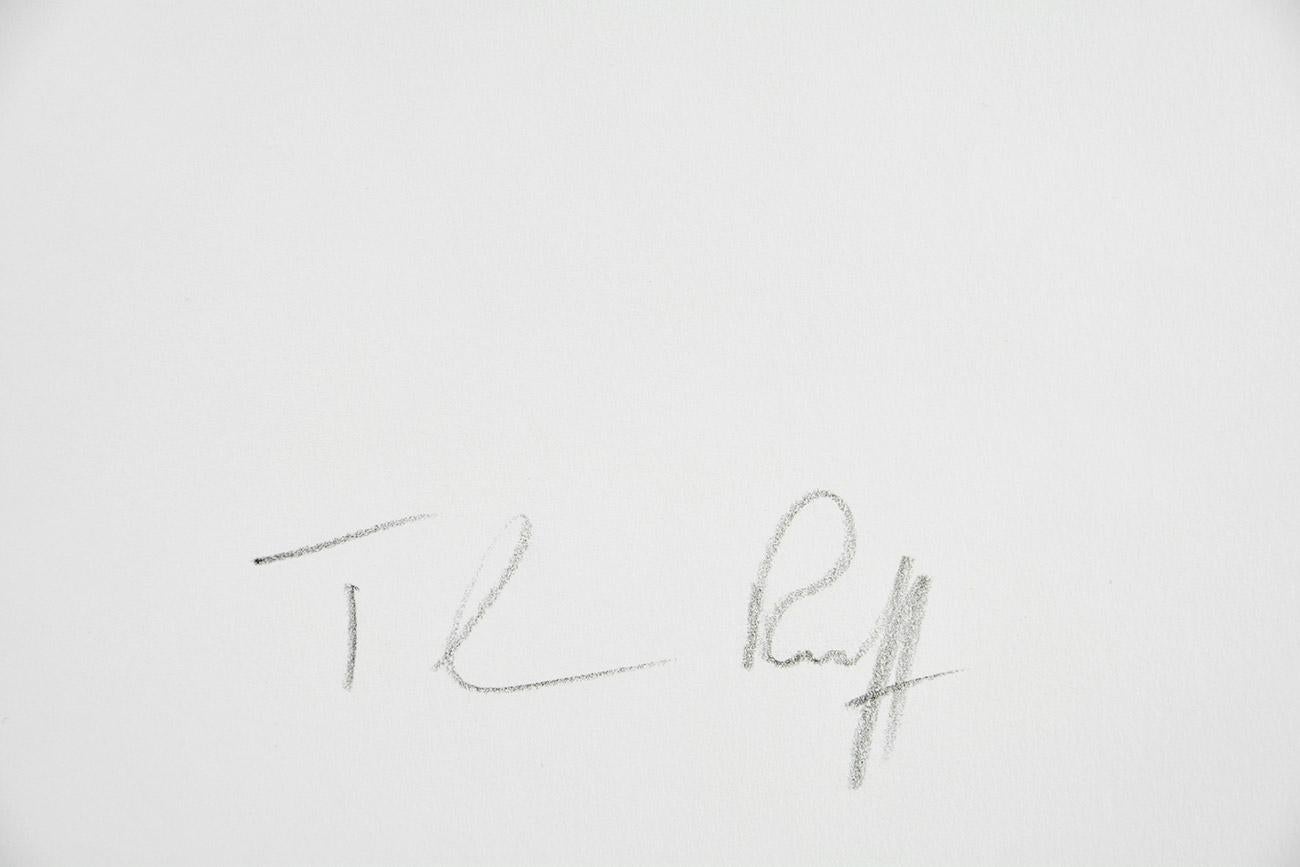 Thomas Ruff - TRIPE 12 - Fotografia moderna del XXI secolo, design del tempio di Myanmar in vendita 5