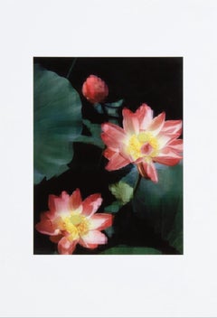 Fiore di loto