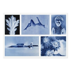 Thomas Ruff, Negatives II - Signed Print, Contemporary Photography