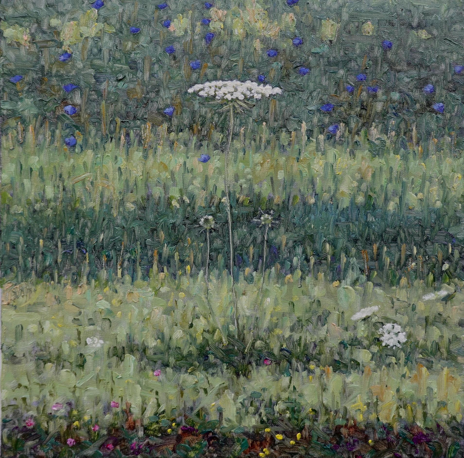 Thomas Sarrantonio Landscape Painting - Field Painting August 2 2021, White Queen Anne's Lace, Blue Violet Wildflowers