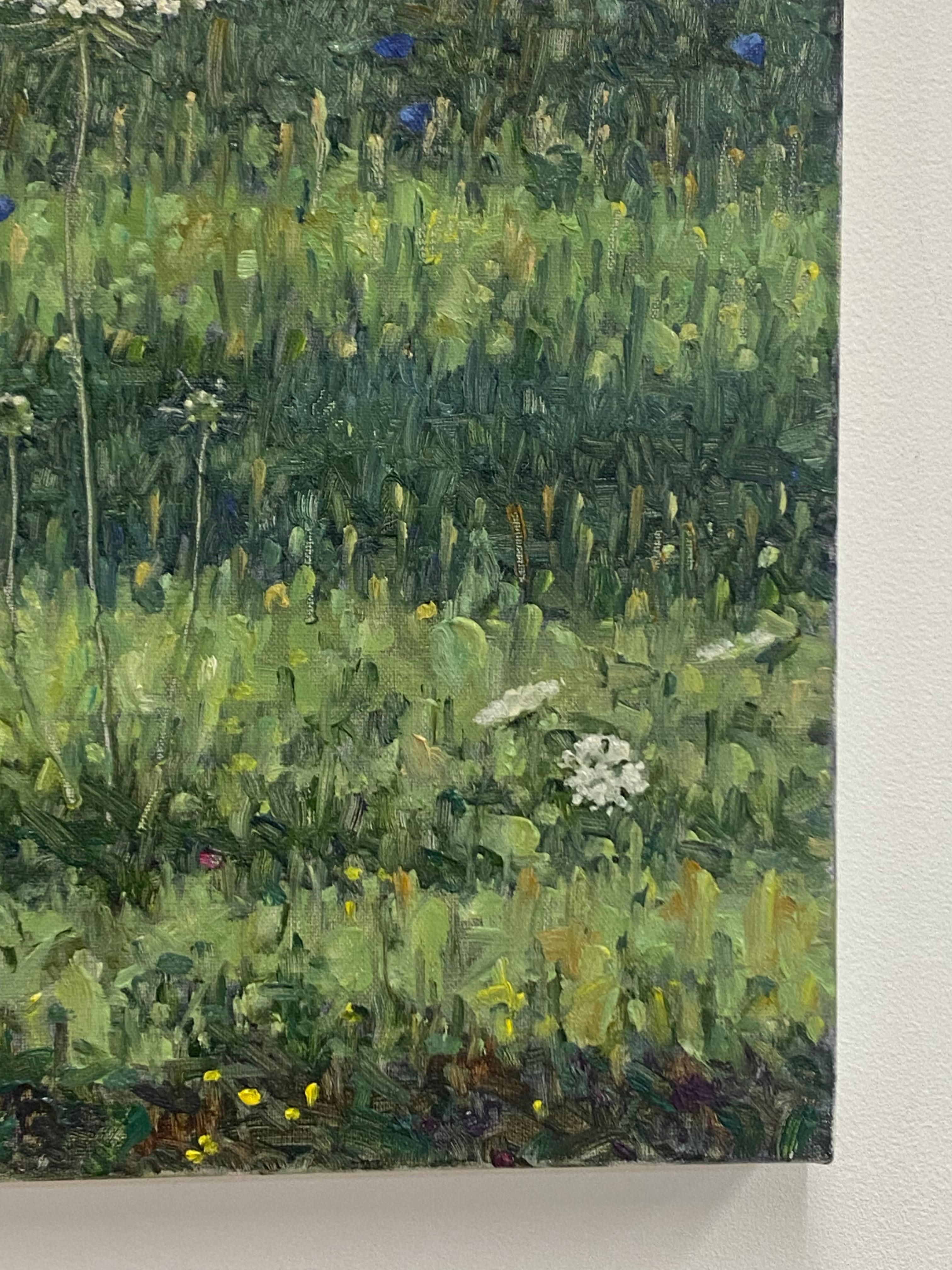Pittura di campo 2 agosto 2021, pizzo di Queen Anne bianco, fiori di campo blu violacei 6