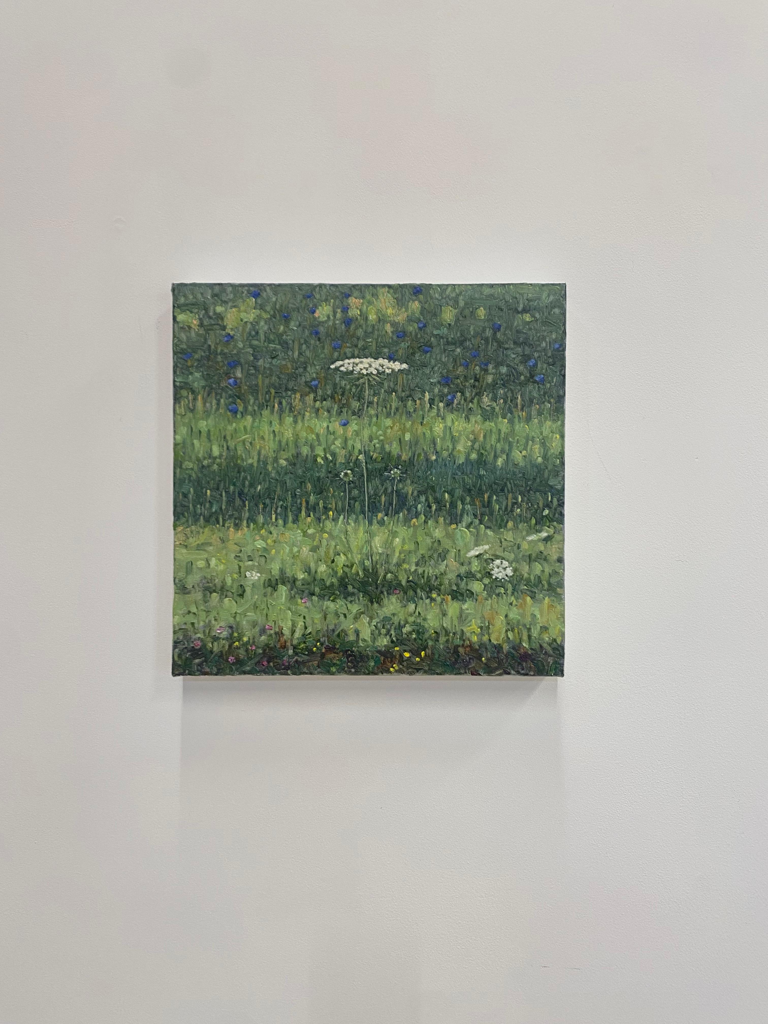 Pittura di campo 2 agosto 2021, pizzo di Queen Anne bianco, fiori di campo blu violacei 7