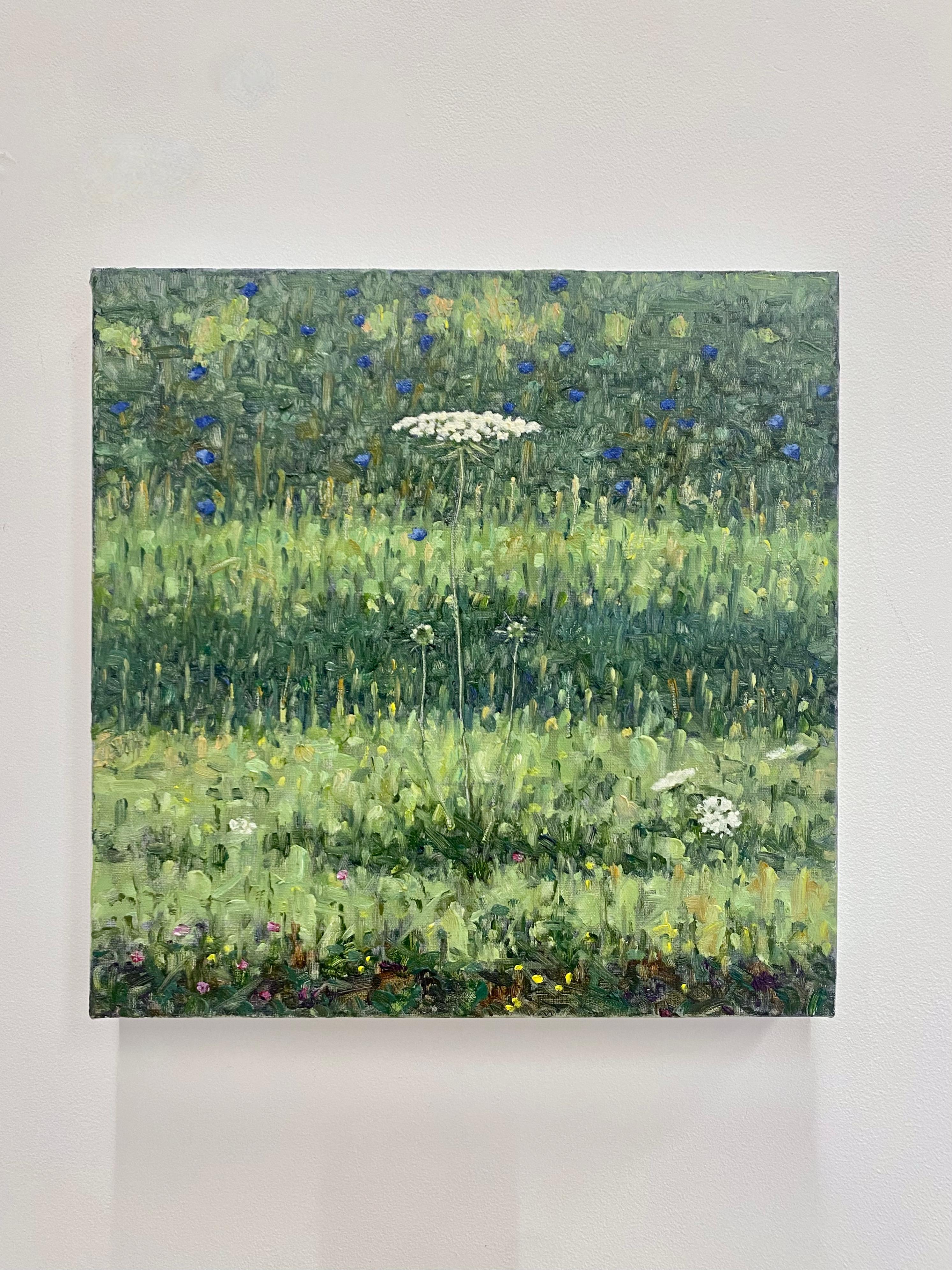 Pittura di campo 2 agosto 2021, pizzo di Queen Anne bianco, fiori di campo blu violacei - Painting di Thomas Sarrantonio