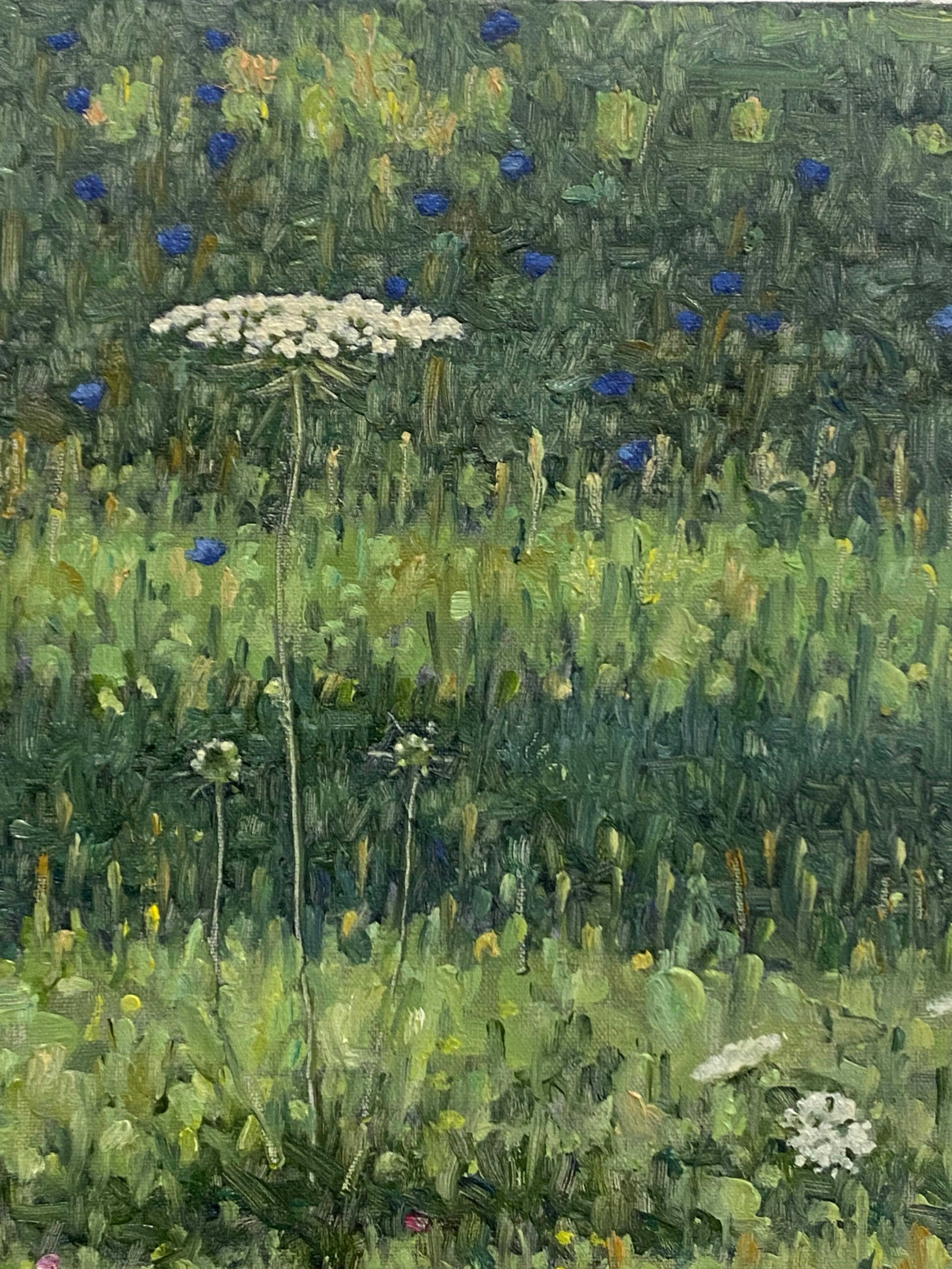 Pittura di campo 2 agosto 2021, pizzo di Queen Anne bianco, fiori di campo blu violacei 1