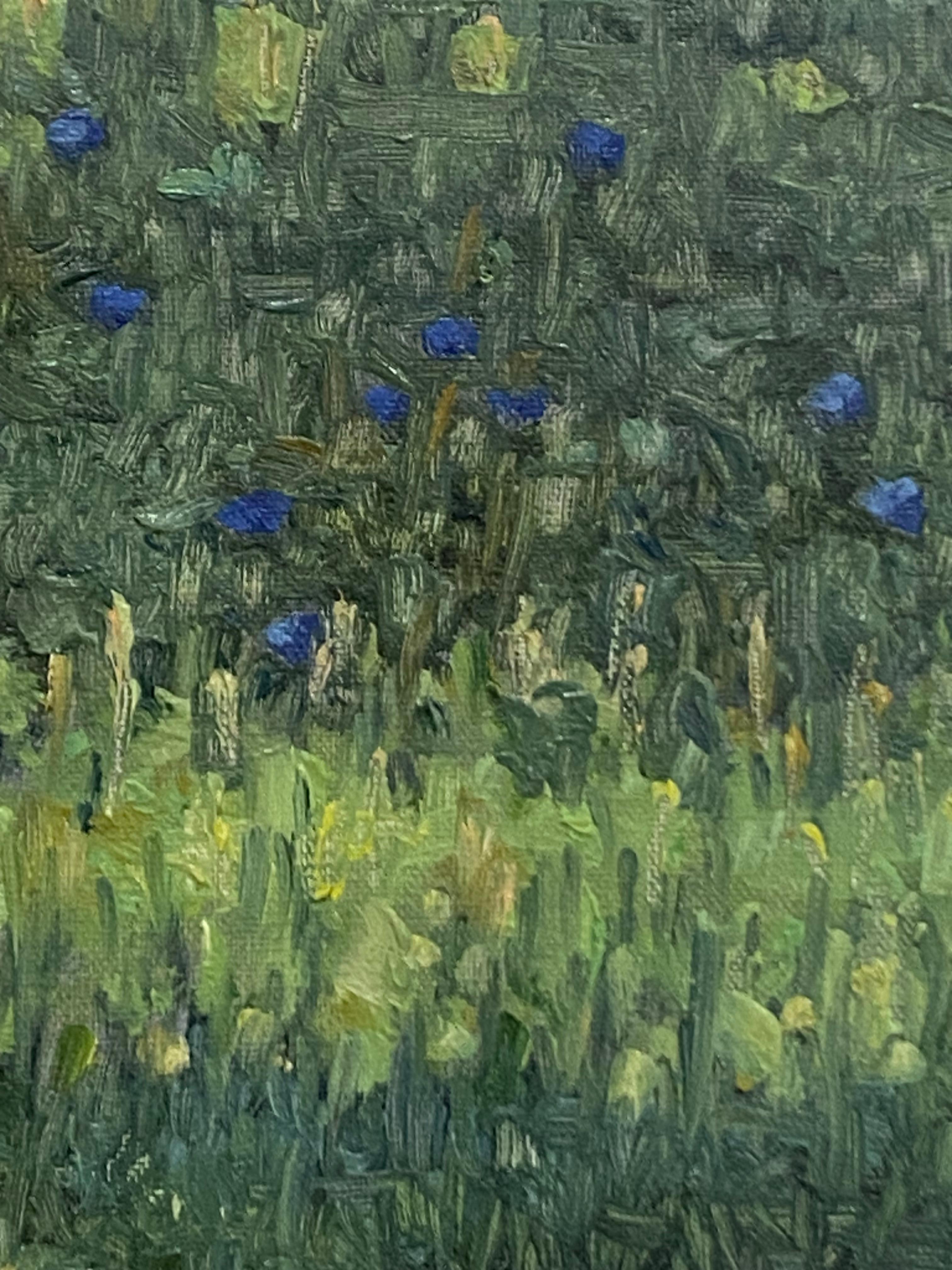 Pittura di campo 2 agosto 2021, pizzo di Queen Anne bianco, fiori di campo blu violacei 2